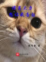 孙尚香无惨挑猫屋妖气