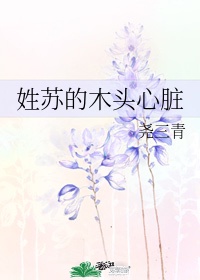 莲子带芯好还是不带芯好