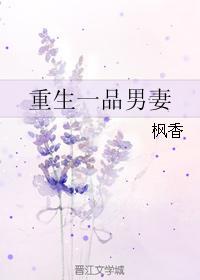 蔷薇航班 长宇宙 小说