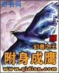 180英雄合击星王版