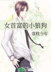 乡村教师的荒唐情史