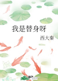 男人的鸡鸡桶女人的鸡鸡