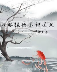 五码合一