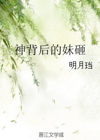 爱情公寓小说