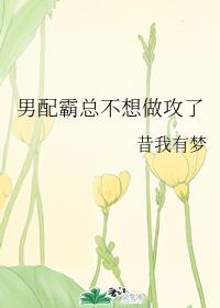 轩辕大宝下载