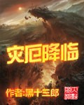 《错位关系》苏玛丽