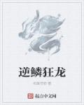 精英律师电视剧48集免费观看