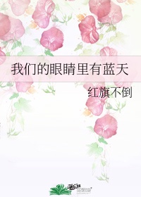 全职法师txt下载完整