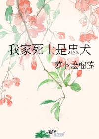 我是女的我想聊骚我qq