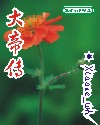 那年花开月正圆原著小说