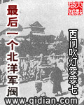 乡野小神医txt