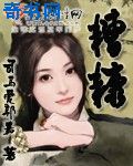 上海滩黄晓明版42集在线观看