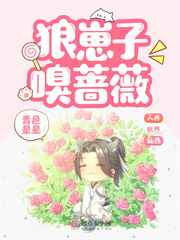 报告夫人漫画免费