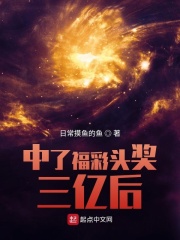 明星之皇