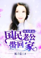 赘婿动漫