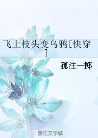 罪爱金水免费阅读