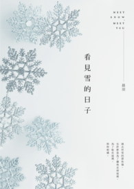 张雪妮小说