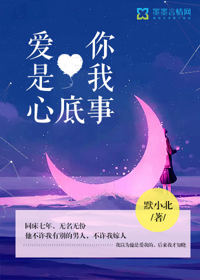 他和她的星光小说