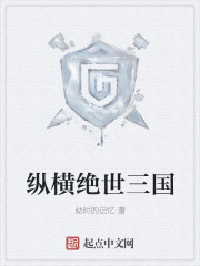 傻儿师长