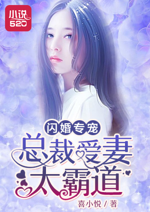 小说少女的心