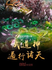 全职白莲花快穿