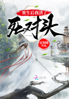 叶问宗师传奇