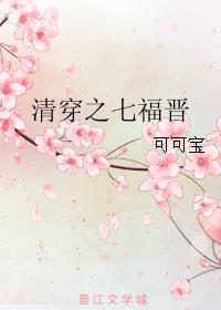 婢女系列h