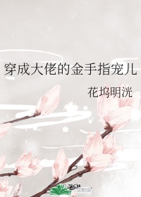 小说少女的心