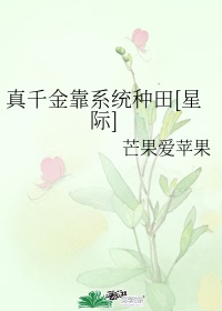 报告长官:夫人在捉鬼文