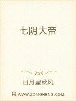 将军小说苏他沈诚温全文免费阅读