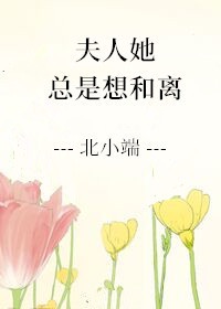 漫花之舞银桃花小说