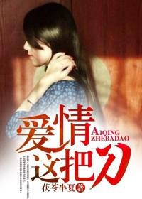 王动摄影所有作品集2024