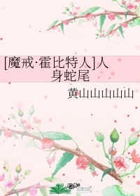 小说少女的心