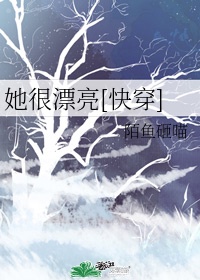 魔道祖师车图