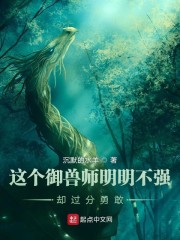 剑雨在线播放完整版