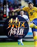 日本六九视频tv 免费