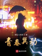 楚汉传奇80集全集免费观看完整版