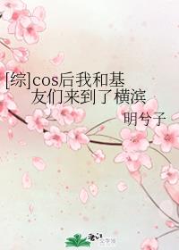 盖亚奥特曼中文版