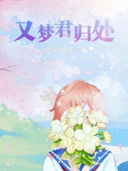 沉沦的校花