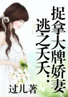 李芬诗雨小军完整版