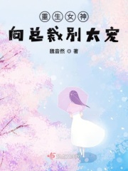 炉石传说法师卡组