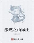 wanz系列