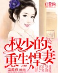 供领导泄欲的女公务员