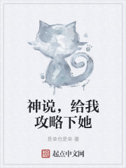 女律师堕落1经典在线观看