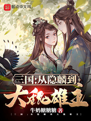 红楼梦新版