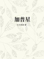 麻花视频V322纯净版