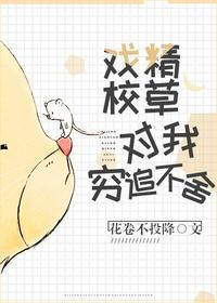 西北君君做受videos