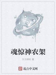 无敌姑爷