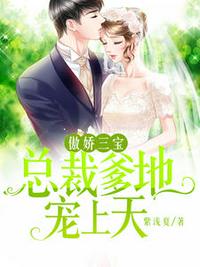 龚玥菲版新梅瓶在线观看DVD