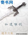 将军在上电视剧